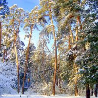 вершины красоты... :: Галина Флора