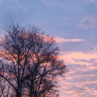 Рассвет :: Елена Семигина