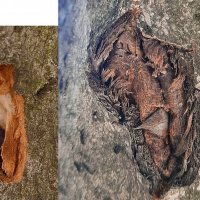 Два года спустя :: Сеня Белгородский Два года спустя :: Сеня Белгородский