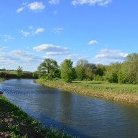 Местная река. :: Виктор 