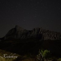 Природа Крыма :: Amazing Cosmea