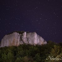 Природа Крыма :: Amazing Cosmea Природа Крыма :: Amazing Cosmea