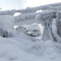 Картина зимы :: Марина Фомина. Картина зимы :: Марина Фомина.