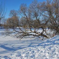 ... :: Анастасия Смирнова