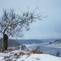 Старица :: Анастасия Смирнова