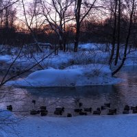 Зимний Вечер :: юрий поляков