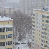 Сегодня хаос в нашей погоде! :: Татьяна Лютаева