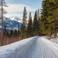 Зимняя дорога ... :: Ravile 