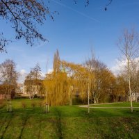 В городской среде... :: Николай Гирш