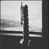 * * * :: Руслан * * * :: Руслан