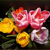 Букет тюльпанов ... :: Валентина Надсон