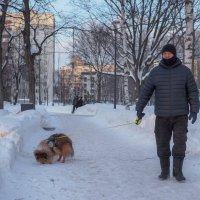 ***** :: юрий поляков