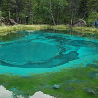 ГЕЙЗЕРНОЕ ОЗЕРО 2. По Алтаю 92. :: Виталий Половинко