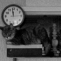 "Уж полночь близится, а Германа все нет..." :: Maria Rainer