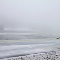 Туман в декабре на р.Сож :: Сергей Рожков