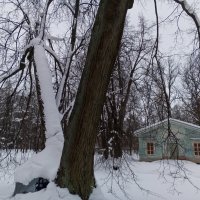 Зима :: Сапсан 