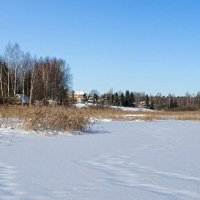 Смоленская область в конце января. :: Милешкин Владимир Алексеевич 