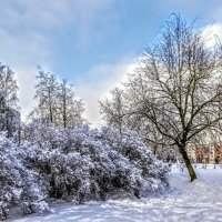 В парке Тондилоо :: Veera V