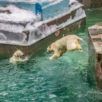 летим к сестрёнке..... :: Аркадий Лаптенко