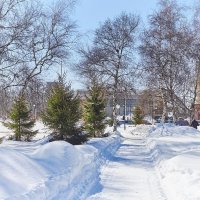 Из прогулки в зимний солнечный день ... :: Ravile