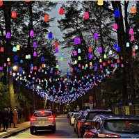 Огни Светлогорска. :: Валерия Комова