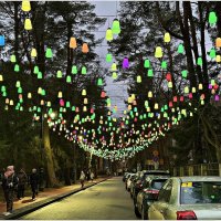 На улицах Светлогорска. :: Валерия Комова