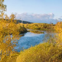 Яркая осень на реке Ухта. :: Николай Зиновьев