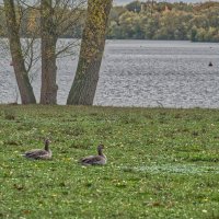 Озеро Липпа :: Jakob Dick