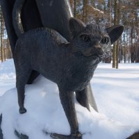 Натёрт до блеска нос кошачий, на удачу! :: Люба 