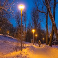 Зимний Вечер в Парке :: юрий поляков