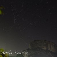 Природа Крыма :: Amazing Cosmea Природа Крыма :: Amazing Cosmea