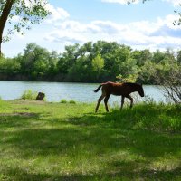 Первая Весна. :: Виктор Первая Весна. :: Виктор