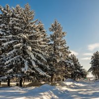 Зимняя сказка :: Виктор Иванович Чернюк Зимняя сказка :: Виктор Иванович Чернюк