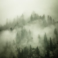 ТУМАН :: HART BAD