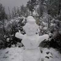 *** :: Зоя Мишина