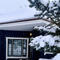 «Идеальная СнеЖность» :: Арина Невская «Идеальная СнеЖность» :: Арина Невская