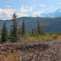 Горные ландшафты :: елена беликова