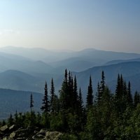 Утро :: Павел Трунцев