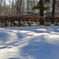 Снег февраля :: Татьяна Машошина