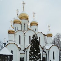 Никольский собор :: Лидия Бусурина Никольский собор :: Лидия Бусурина