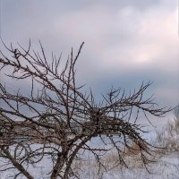 В парке :: Veera V