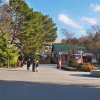 Прошлгодняя зима,24января 2025 года :: Валентин Семчишин