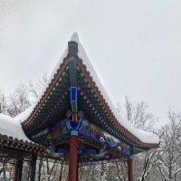 Зима в парке Хуамин. :: ИРЭН@ .