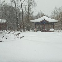 Снегопад :: ИРЭН@ .