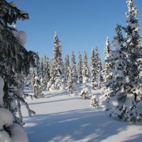 Царство дедушки Мороза  ... :: Ravile 