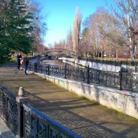 Кормим голубей :: Валентин Семчишин Кормим голубей :: Валентин Семчишин