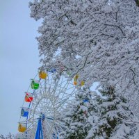 В парке :: Оксана Новик 