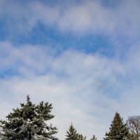 Зимний день :: Оксана Новик 