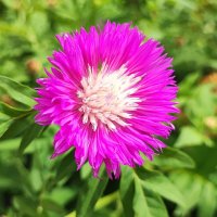 ,,, :: Сергей Тимоновский