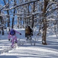 В поход за зимней красотой :: Наталья Димова